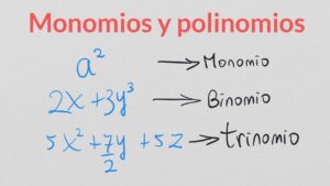 cual-es-la-diferencia-entre-un-monomio-y-un-polinomio