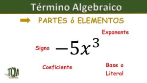 cuales-son-los-4-elementos-de-un-termino-algebraico