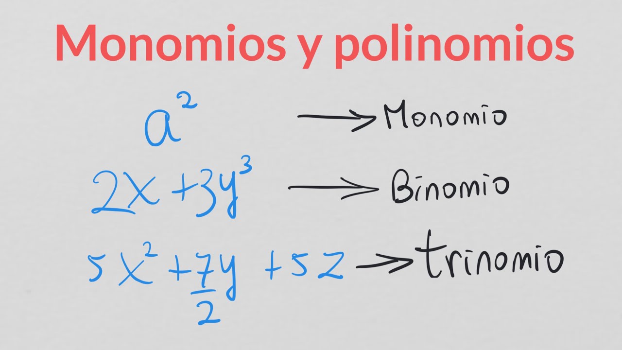 ¿Cuál es la diferencia entre un monomio y un polinomio?